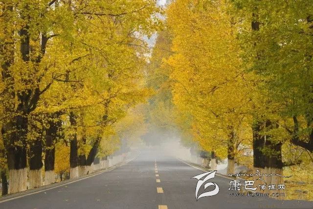 康定新都橋，有一條黃金大道通往夢(mèng)中的天堂