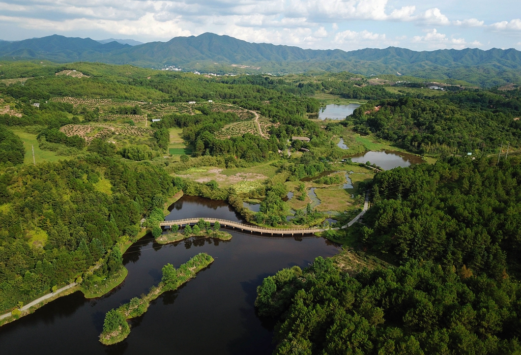 福建省龍巖市長(cháng)汀縣的長(cháng)汀汀江國家濕地公園景色（2020年7月28日攝，無(wú)人機照片）。新華社記者 魏培全 攝